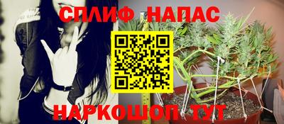 СК Балаково