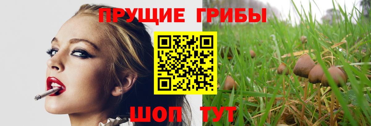 Гусь-Хрустальный  Галлюциногенные грибы мухоморы  Галлюциногенные грибы Psilocybe  Вход с VPN 