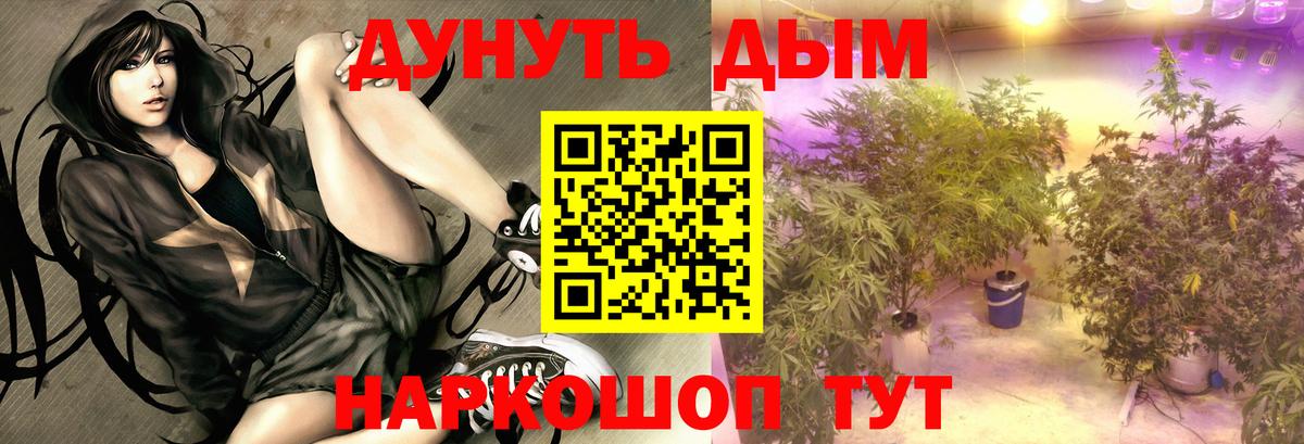 Каннабис индика  Вход с VPN  Марихуана THC 21%  Канабис VHQ  Гусь-Хрустальный 